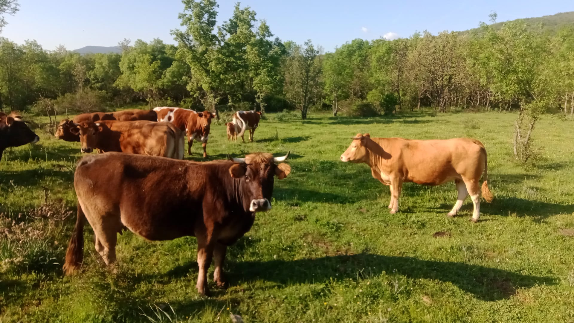Entorno compamento La Escuela San Mames Madrid